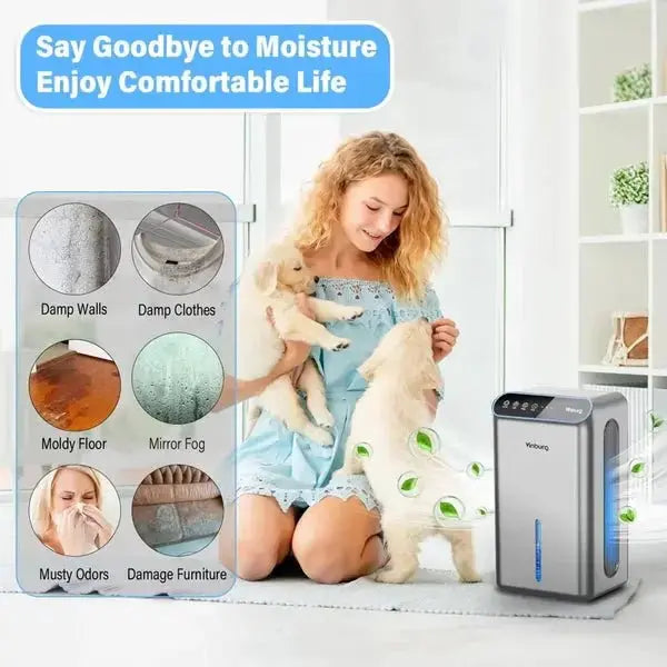 Best Portable Dehumidifier CT6 2.5L - Teendow Australia